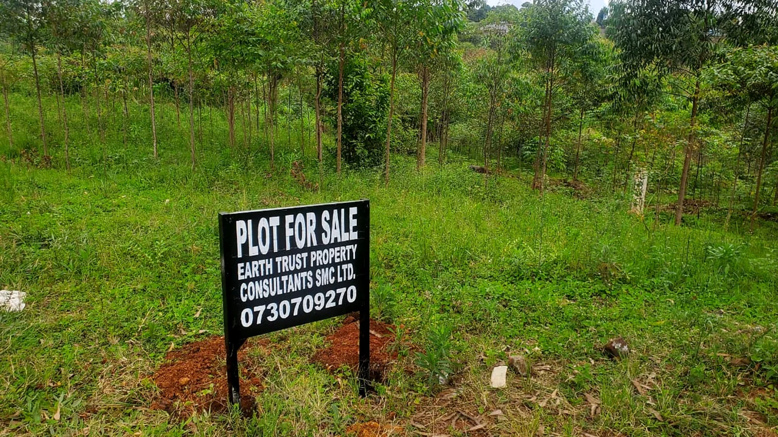 Open green land prepared for a buyer enquiry