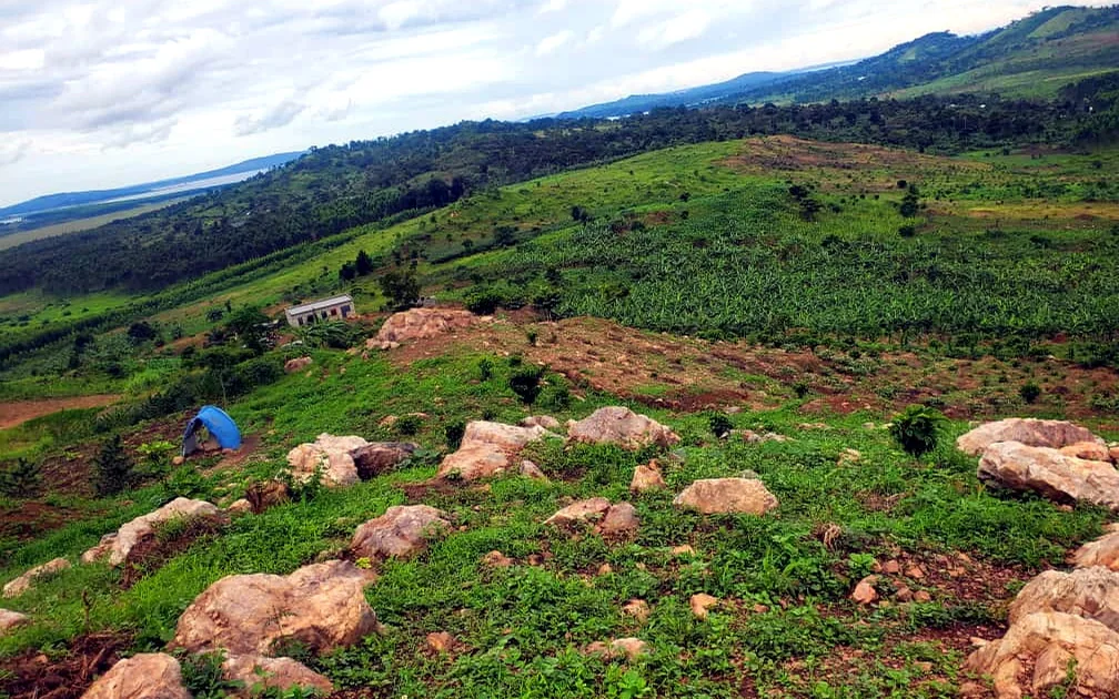 Green hillside agricultural land