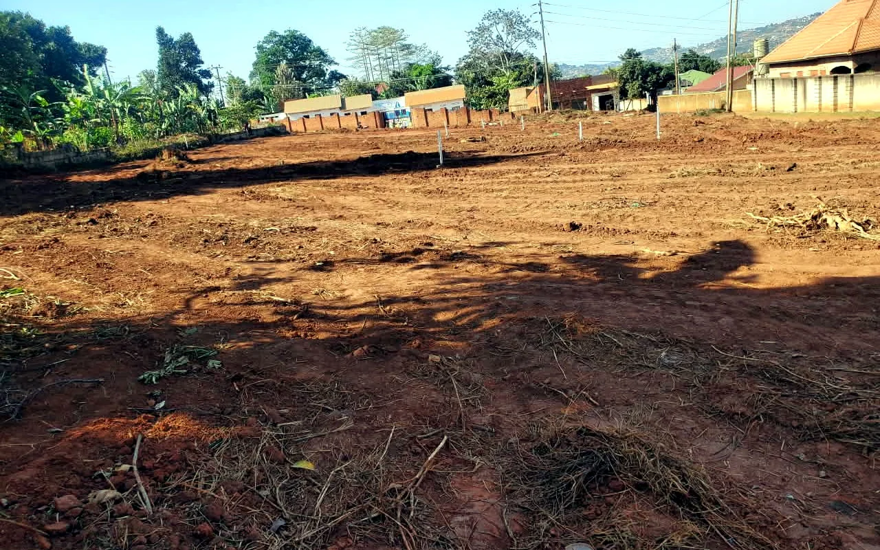 Cleared plot in an urban setting