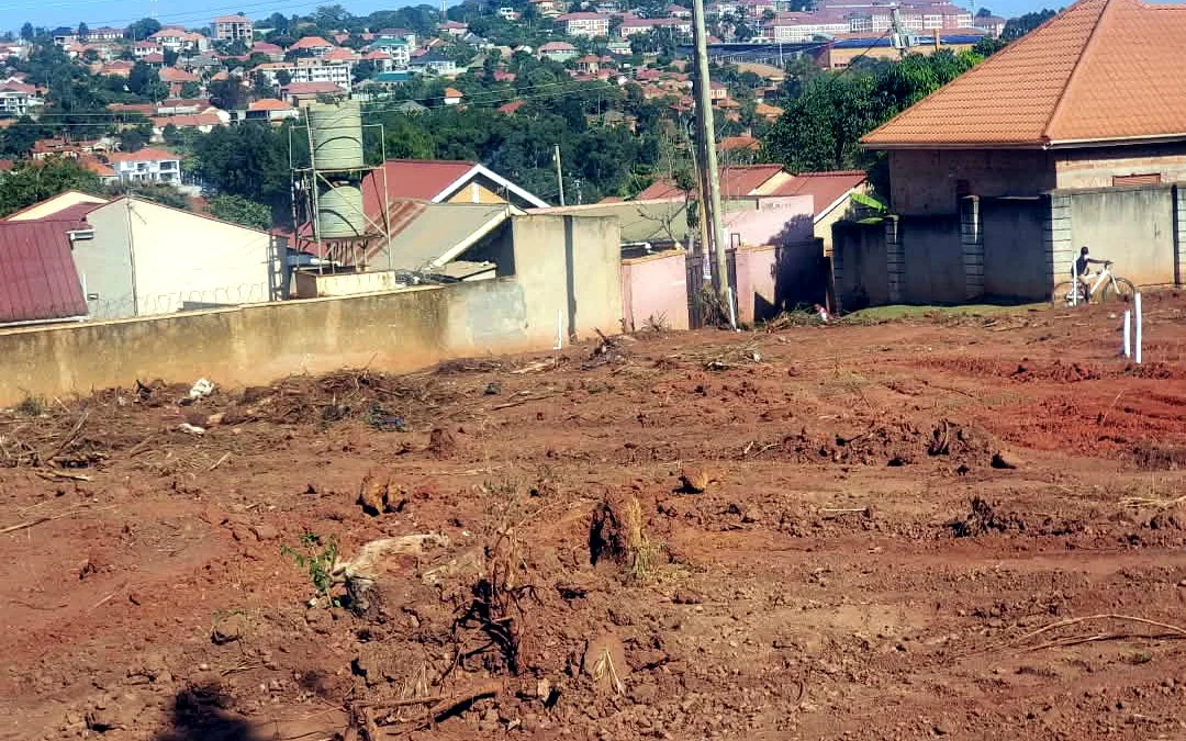 Cleared land and surrounding context
